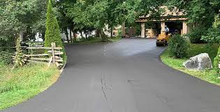 Best Driveway Pressure Washing  in Dallas, NC